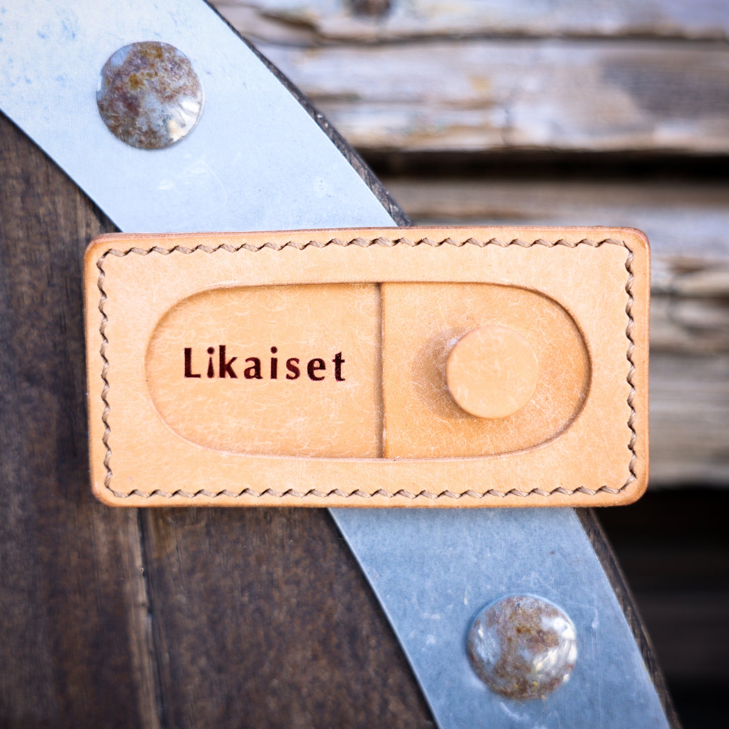 Astiapesukone magneetti / Bone